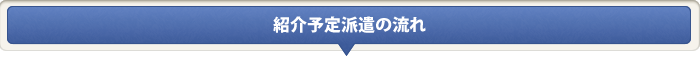 紹介予定派遣の流れ